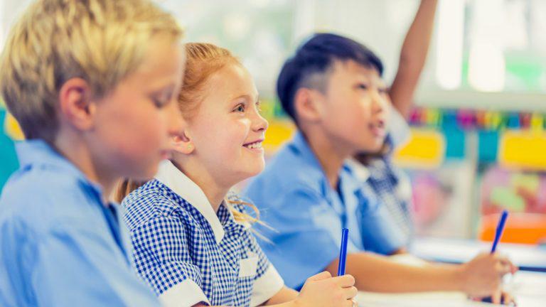 What is NAPLAN?
