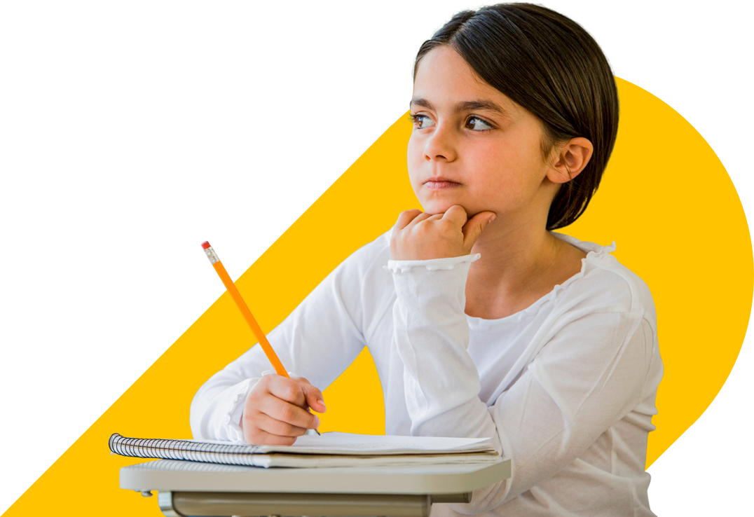 Primary NAPLAN school student