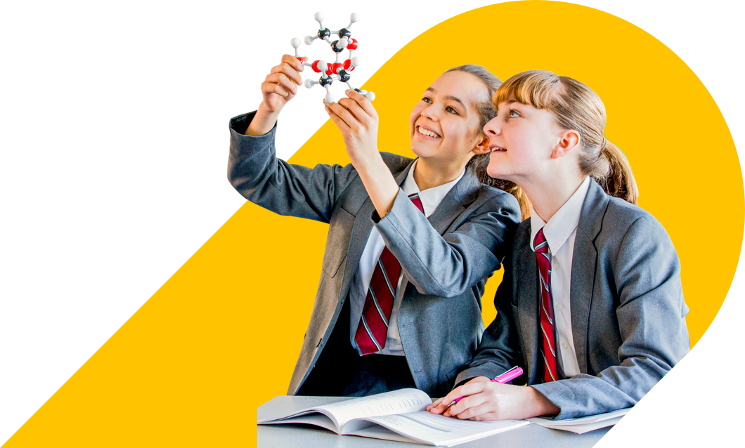 Senior Chemistry students